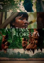 Poster do filme A Última Floresta