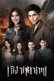Fighter tv show poster