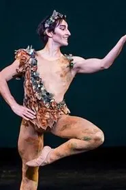Royal Ballet All-Star Gala movie poster