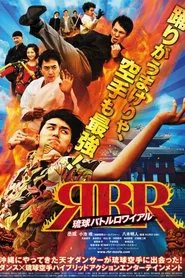 Poster do filme Dancing Karate Kid