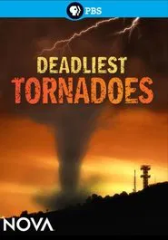 Poster do filme Deadliest Tornadoes