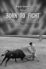 Born to Fight movie poster