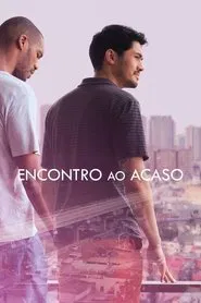 Poster do filme Encontro ao Acaso