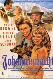 Poster do filme Johannisnacht