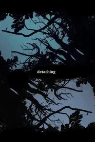 Poster do filme Detaching