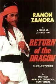 Poster do filme Return of the Dragon