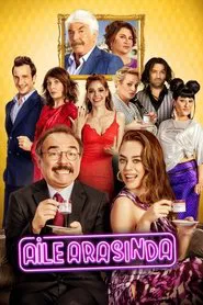 In the Family movie poster