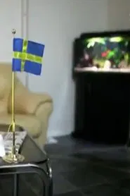 Sverigedemokraterna - vägen till riksdagen movie poster