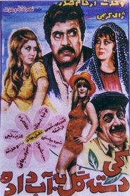 Who did Lay An Egg? movie poster