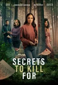 Secrets to Kill For movie poster