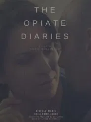 The Opiate Diaries movie poster