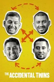 The Accidental Twins movie poster