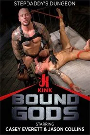 Poster do filme Stepdaddy's Dungeon