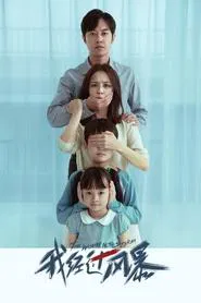The Woman in the Storm movie poster