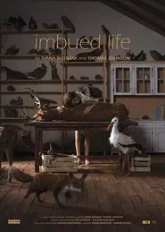 Imbued Life movie poster