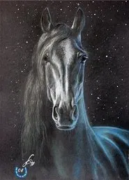 Mustang Pacer movie poster