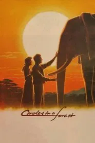 Poster do filme Circles in a Forest