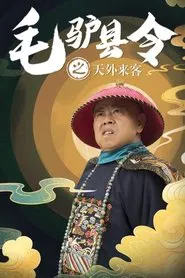 毛驴县令之天外来客 movie poster