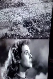 The War of Images movie poster