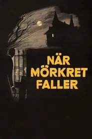 Poster do filme When Darkness Falls