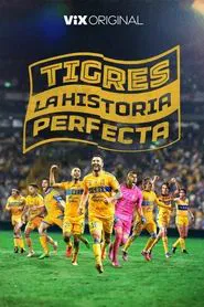 Tigres: La historia perfecta tv show poster