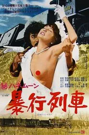 Secret Honeymoon: Assault Train movie poster