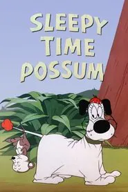 Sleepy Time Possum movie poster