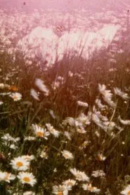 death by fantasies by mirrors movie poster