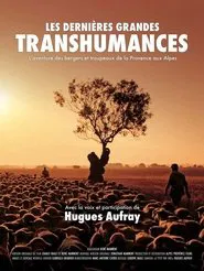 Les dernières grandes transhumances movie poster