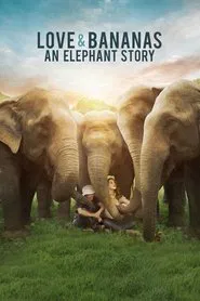 Love & Bananas: An Elephant Story movie poster
