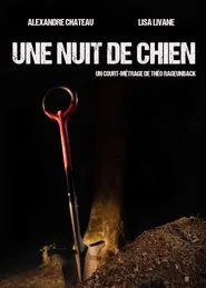 Poster do filme Une nuit de chien