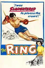 The Ring movie poster