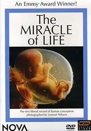 The Miracle of Life movie poster