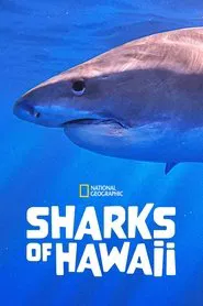 Sharks of Hawaii movie poster