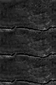 A Radical Film movie poster