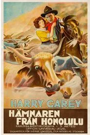 The Outlaw and the Lady movie poster