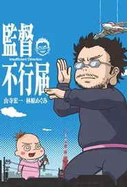 Insufficient Direction tv show poster