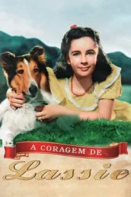 Poster do filme A Coragem de Lassie
