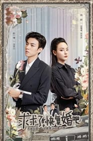 Please, Remarry tv show poster