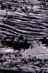 Poster do filme The Invisible Landscape