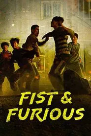 Fist & Furious movie poster