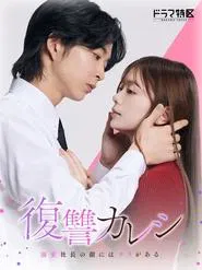 Revenge Boyfriend tv show poster