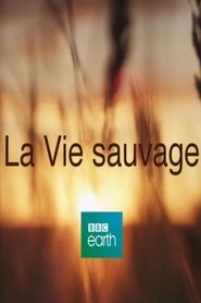 La Vie Sauvage movie poster