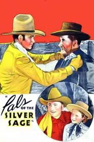 Pals of the Silver Sage movie poster