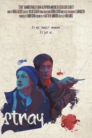 Stray movie poster