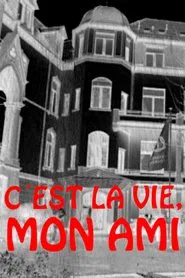 C'est la vie, mon ami movie poster