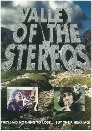 Valley of the Stereos movie poster