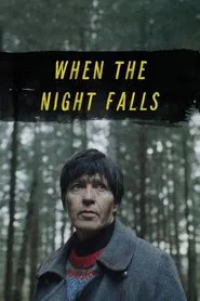 When the Night Falls movie poster