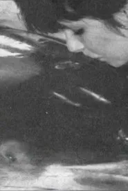 The World as a Collection movie poster