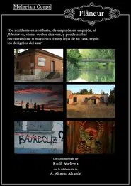 Flâneur (El paseador) movie poster